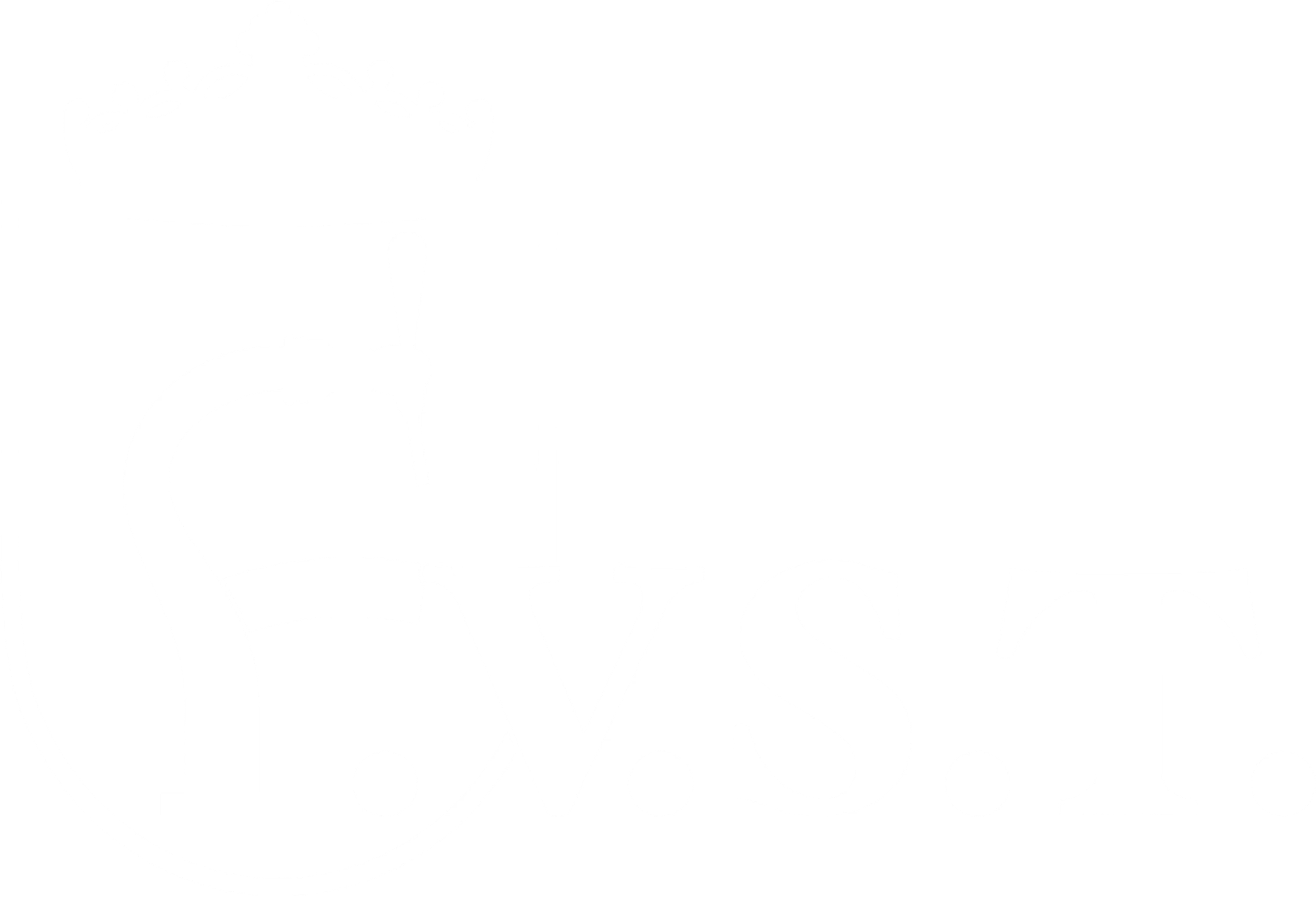 F.V.S.T.